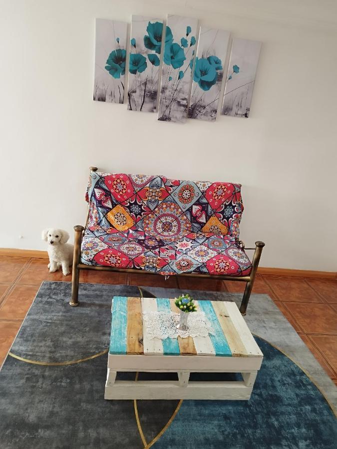 Matsofy_Apartamento Santiago Dış mekan fotoğraf